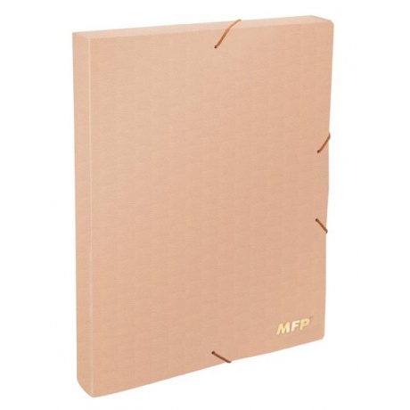 Box PP A4 s gumkou MFP růžový