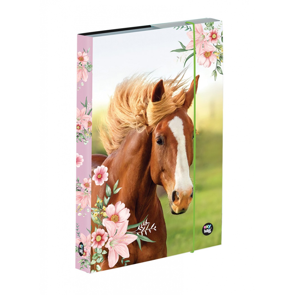 Box na sešity A5 Kůň Box na sešity A5 Kůň