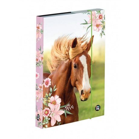 Box na sešity A5 Kůň