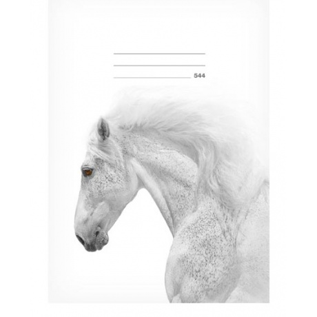 Sešit 544 LUX White Kůň linkovaný