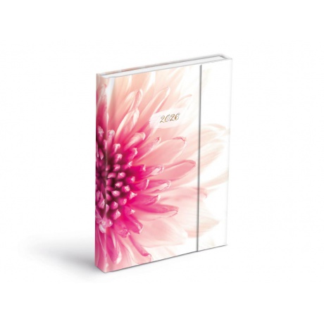 Diář 2026 D801 denní Květ magnetický