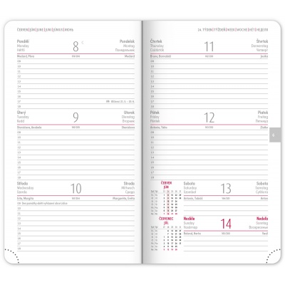 Kapesní diář 2026 Aprint černý