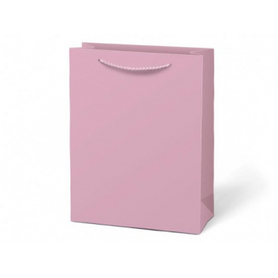 Taška dárková kraft T5 bílá