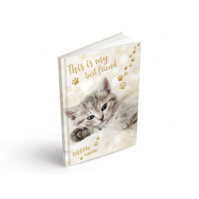 Záznamová kniha A6 linka Kočka