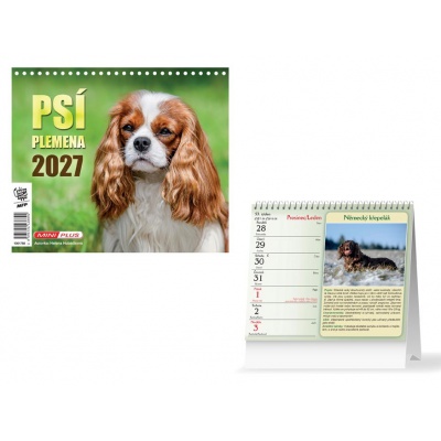 Kalendář 2027 stolní Mini Psí plemena