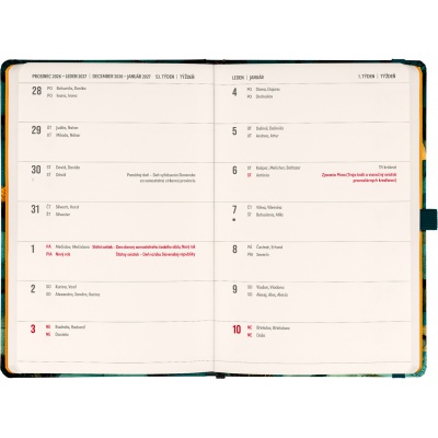 Planbook diář notes Kočka 2027